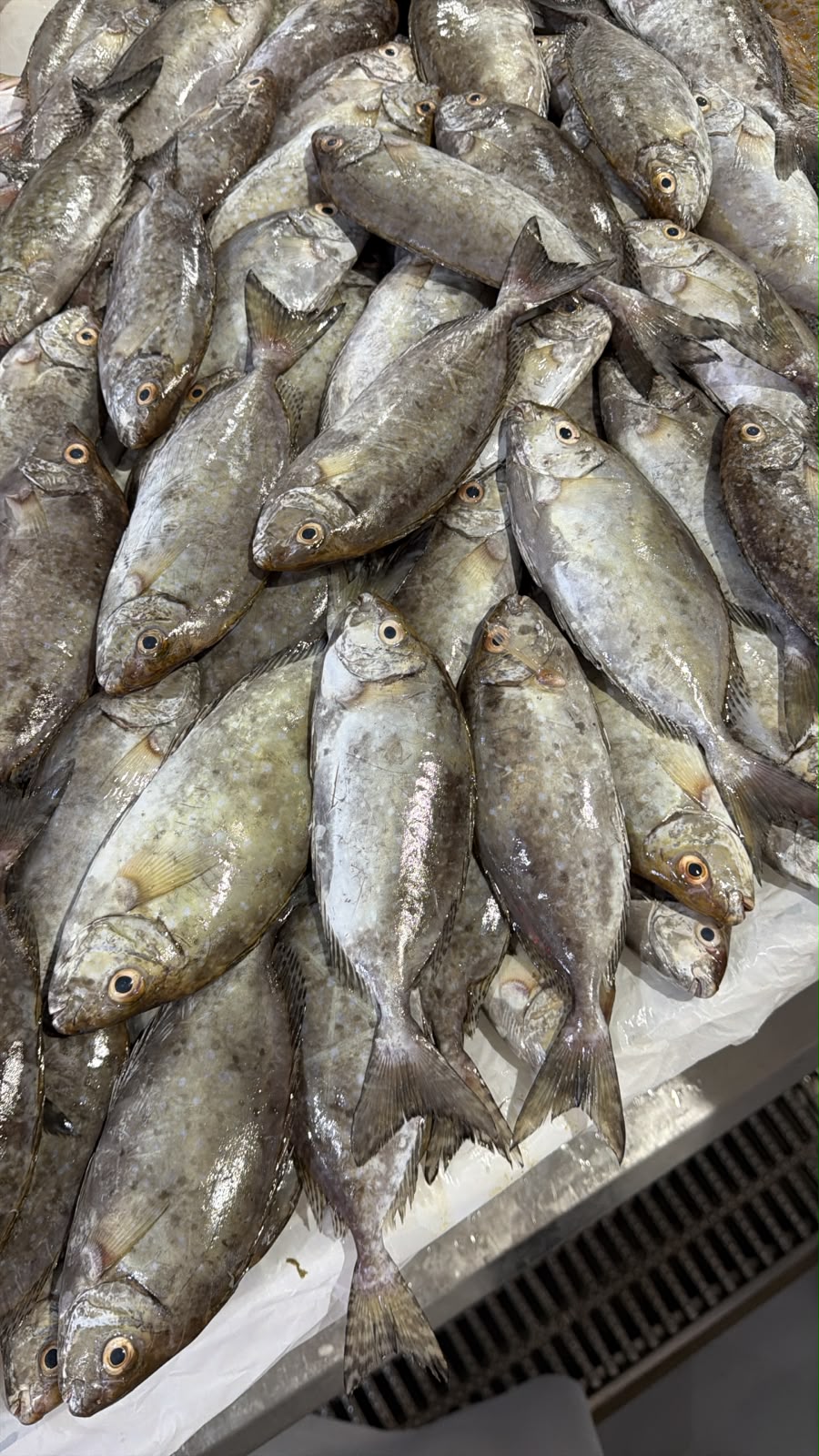 Safi biscotti