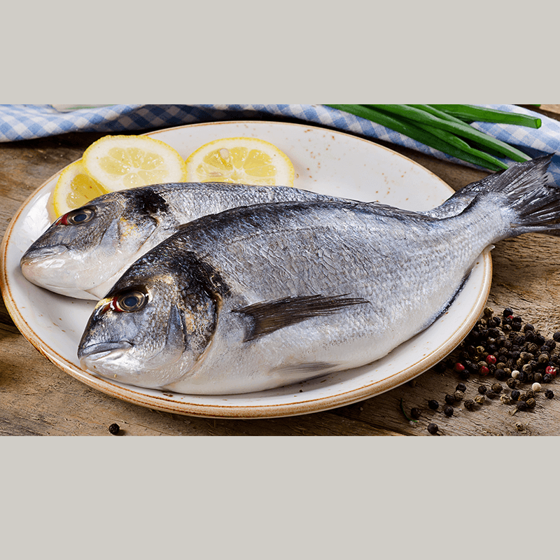 Fresh sea bream